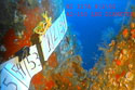 Underwater Video Systems